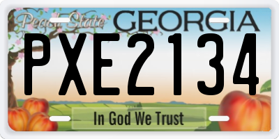 GA license plate PXE2134