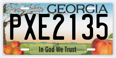 GA license plate PXE2135