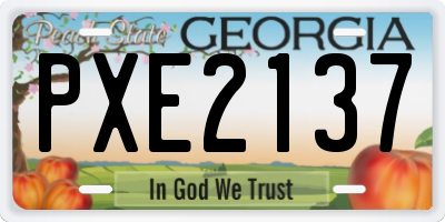 GA license plate PXE2137