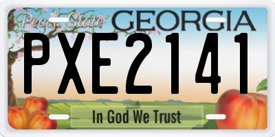 GA license plate PXE2141