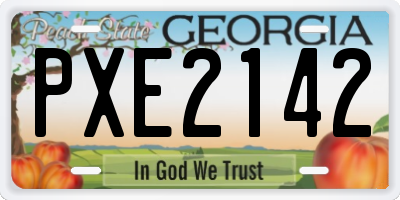 GA license plate PXE2142