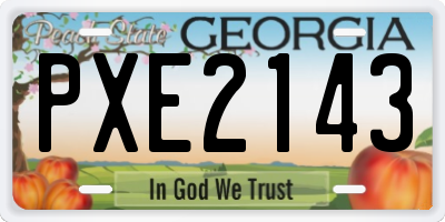 GA license plate PXE2143