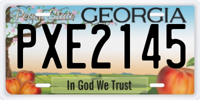 GA license plate PXE2145