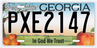 GA license plate PXE2147