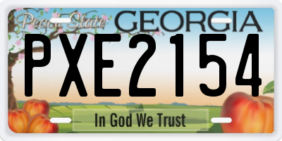 GA license plate PXE2154