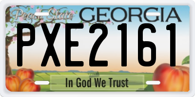 GA license plate PXE2161