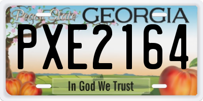 GA license plate PXE2164