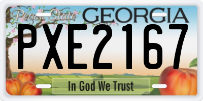 GA license plate PXE2167