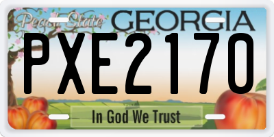 GA license plate PXE2170