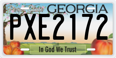GA license plate PXE2172