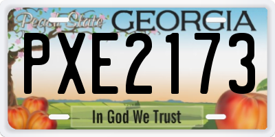 GA license plate PXE2173
