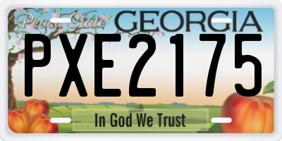 GA license plate PXE2175