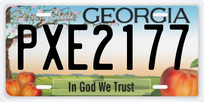GA license plate PXE2177