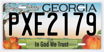 GA license plate PXE2179