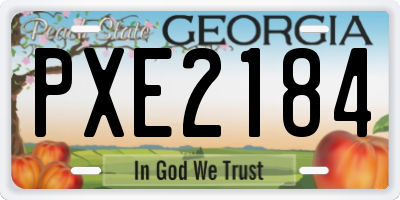 GA license plate PXE2184