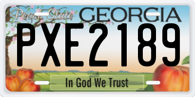 GA license plate PXE2189