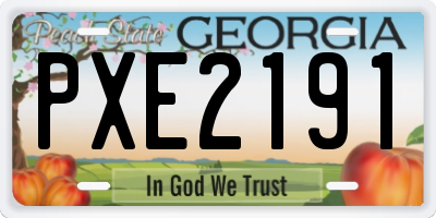 GA license plate PXE2191