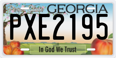 GA license plate PXE2195