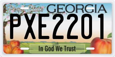 GA license plate PXE2201