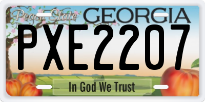 GA license plate PXE2207