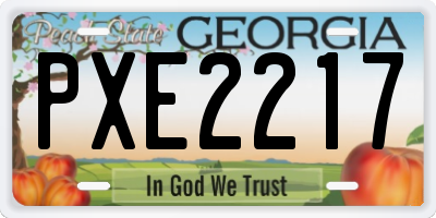 GA license plate PXE2217