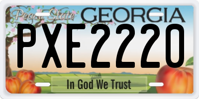 GA license plate PXE2220