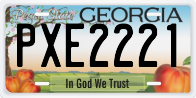 GA license plate PXE2221