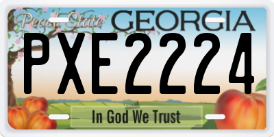 GA license plate PXE2224