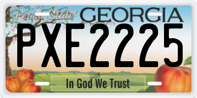 GA license plate PXE2225