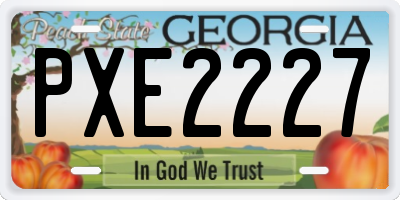 GA license plate PXE2227