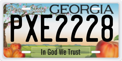 GA license plate PXE2228