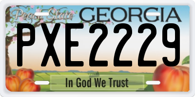 GA license plate PXE2229