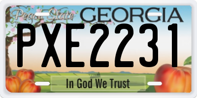 GA license plate PXE2231