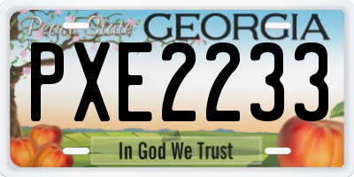 GA license plate PXE2233
