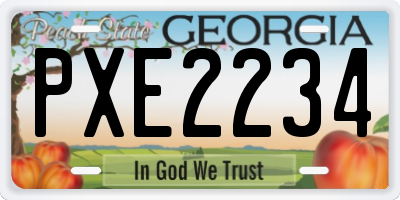 GA license plate PXE2234