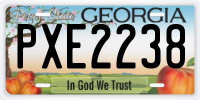 GA license plate PXE2238
