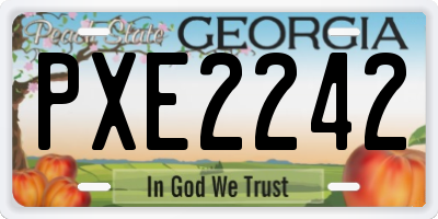 GA license plate PXE2242