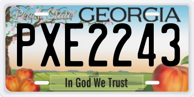 GA license plate PXE2243