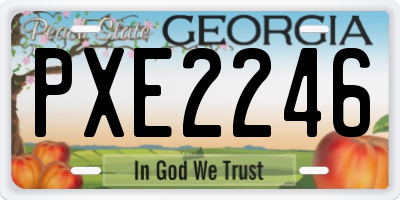 GA license plate PXE2246