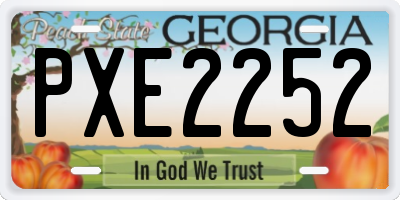 GA license plate PXE2252