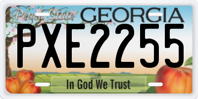 GA license plate PXE2255
