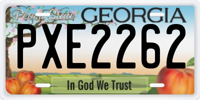 GA license plate PXE2262