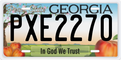 GA license plate PXE2270