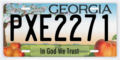 GA license plate PXE2271