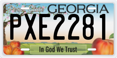 GA license plate PXE2281