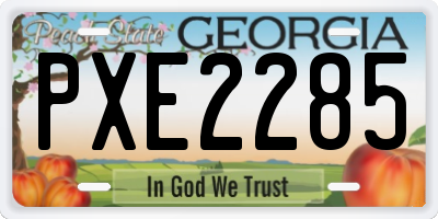 GA license plate PXE2285
