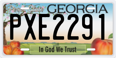 GA license plate PXE2291