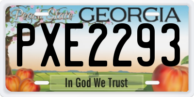 GA license plate PXE2293