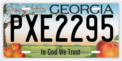 GA license plate PXE2295