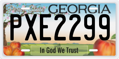 GA license plate PXE2299